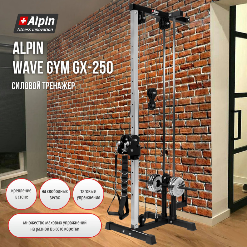 Силовой тренажер Alpin Wave Gym GX-250 фото-4