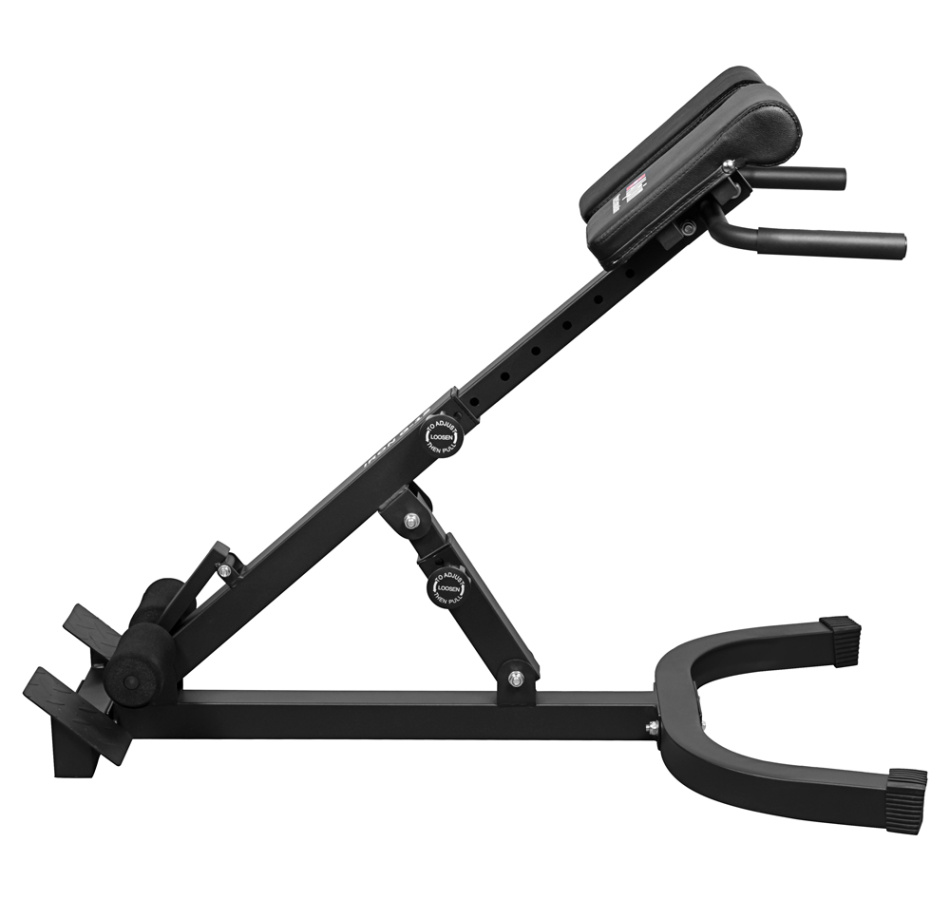 Гиперэкстензия Alpin Iron G-12 фото-4