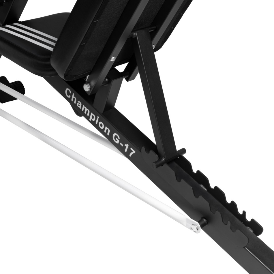 Скамья спортивная Alpin Champion G-17 фото-6